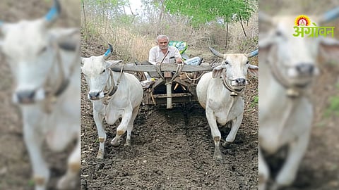 Farm Road Issue