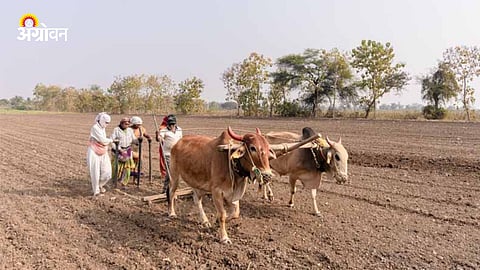 Kharif Sowing 2026