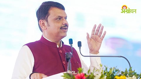 El Nino impact on Maharashtra agriculture