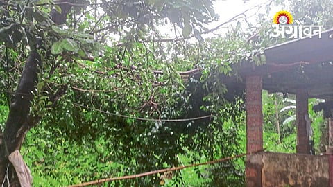 Heavy Rain Intensifies Across Sindhudurg District