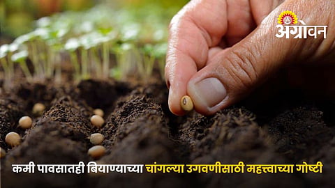How To Improve Seed Germination In Low Rainfall