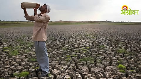 Maharashtra Drought