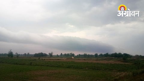 Weak Monsoon Raises Concern for Kharif Season