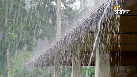 Maharashtra Rainfall