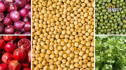 Maharashtra farm produce market update