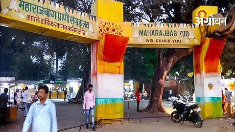 Maharaj Bagh Zoo