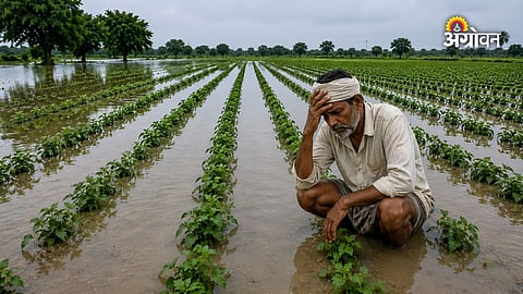 Agriculture department crop insurance GR