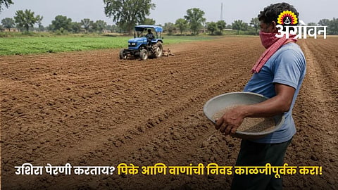 Best Crops and Varieties For Delayed Sowing