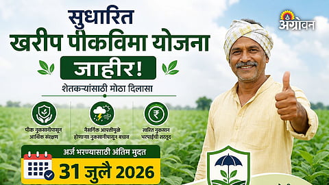 Government crop insurance for farmers