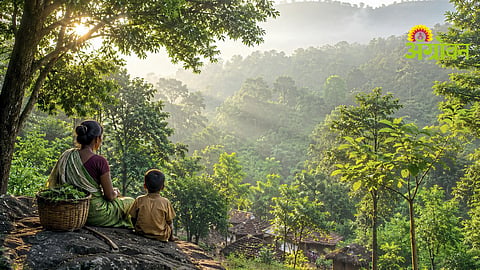 Forest Conservation