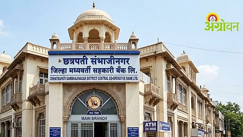 DCC Bank Election