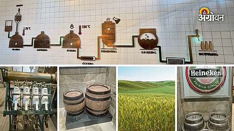 Agriculture behind Heineken brand