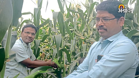 Rural school agriculture innovation