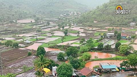 IMD heavy rain alert for Maharashtra
