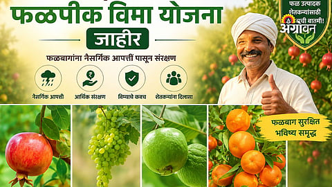 Financial protection for fruit growers