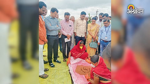 BBF method benefits for farmers