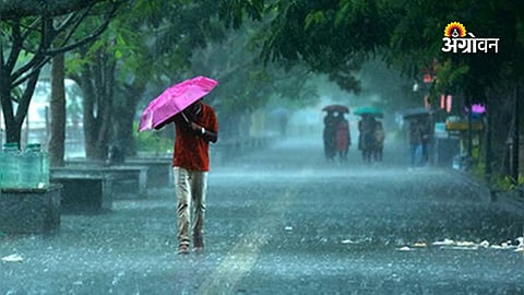 Total rainfall prediction for Maharashtra ghat areas