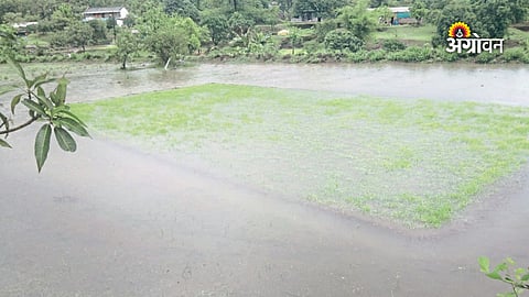 Heavy rainfall impact on dams
