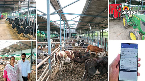Pune farmer dairy business success