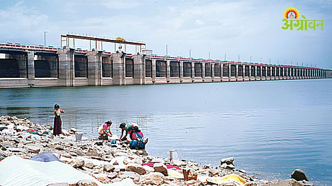 Ujani Dam Water Level