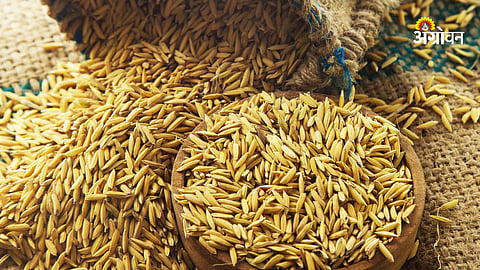 Paddy Procurement