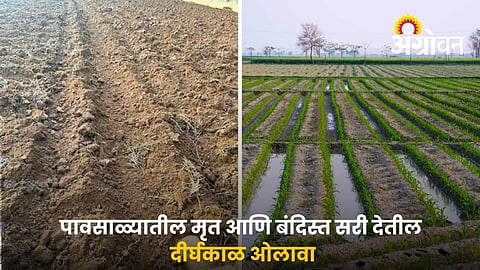 Conserve Soil Moisture In Dryland Farming