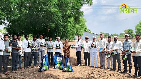 Cotton Seeds Distributed:
