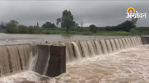 Kolhapur Rain Update