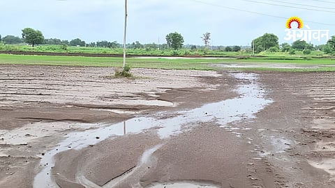 Heavy Rain Damages