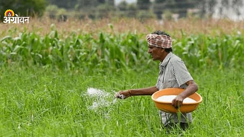 Urea and DAP stock