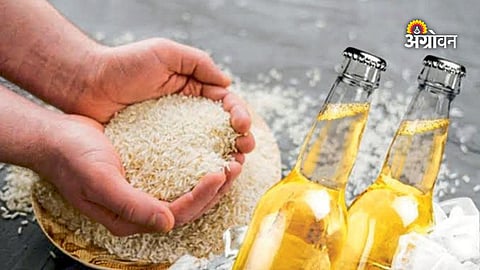 Beer production and rice demand