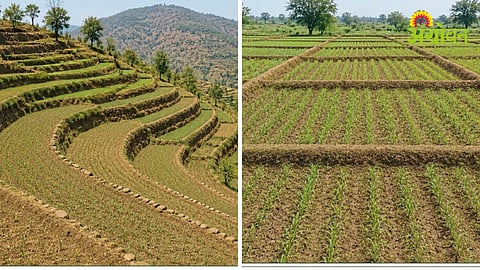 Watershed Management