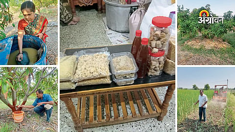 Natural farming success story in India