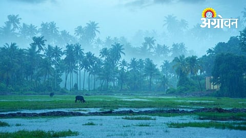 Stormy Winds Disrupt Life Across Sindhudurg District