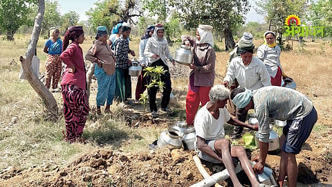 Rural Development