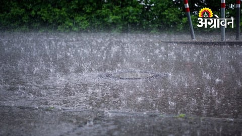 Heavy Showers Bring Relief to Farmers in Marathwada