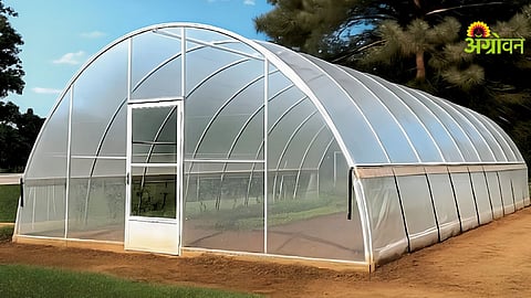 Polyhouse Design