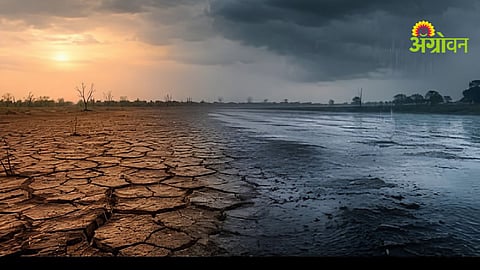 Climate Change Impact