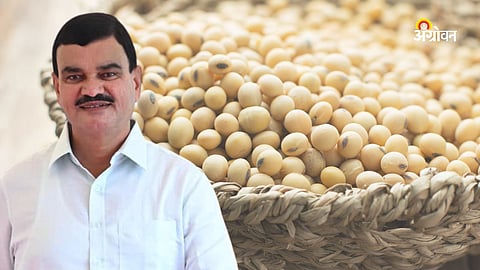 Crop MSP, Dattatray Bharane 