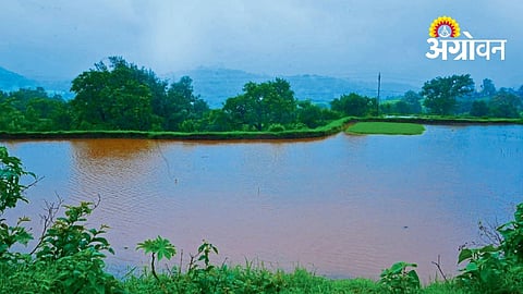 Heavy Rain Continues in Bhandardara and Harishchandragad