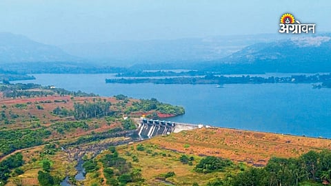 Pune dams water level update 2026