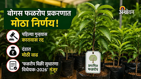 Agriculture law for fruit saplings