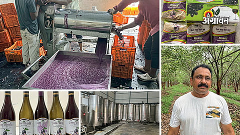 Jamun wine production in India