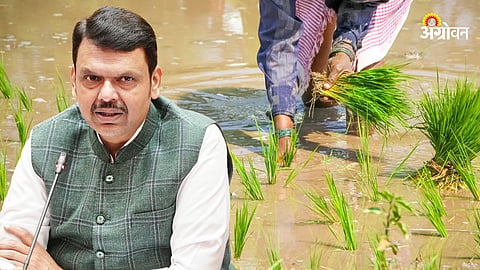Farm Loan Waiver, Devendra Fadnavis