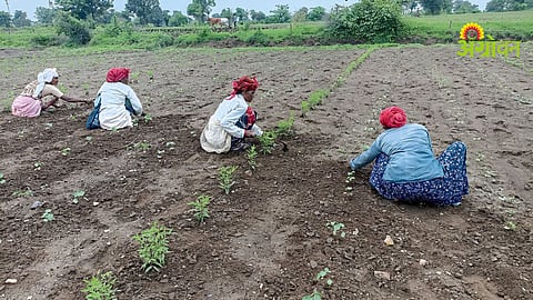 Women Empowerment