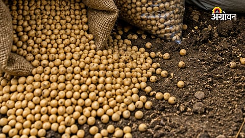 Fake Seeds
