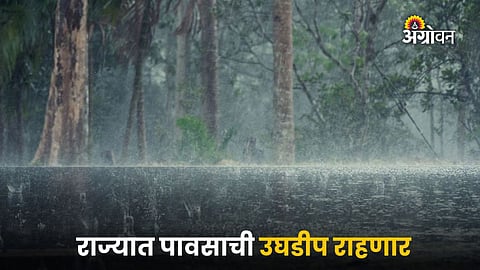 Rain News : राज्यात पावसाची उघडीप राहणार; पुढील पाच दिवसांचा अंदाज जाहीर
