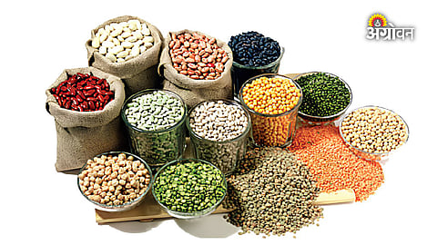 Agricultural commodity prices due to El Nino