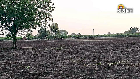 Marathwada farmers facing dry spell