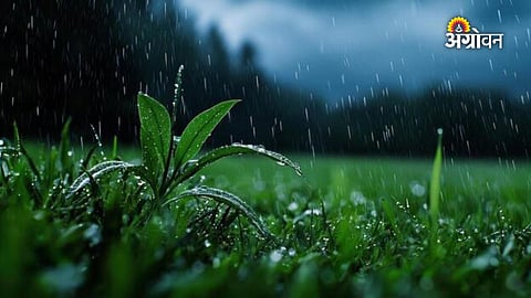 Maharashtra rainfall prediction this week